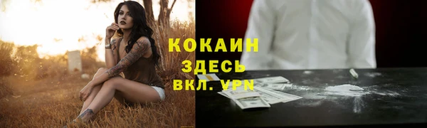 спайс Баксан
