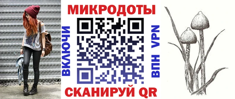 как найти закладки  Калининец  Галлюциногенные грибы Psilocybe 